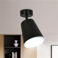 PRISM 1 BLACK-WHITE 385/1 spot plafon sufitowy regulowane klosze czarne biały środek
